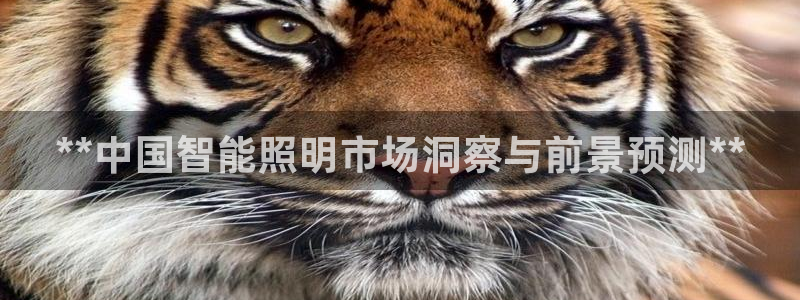 云顶国际公馆在哪个位置