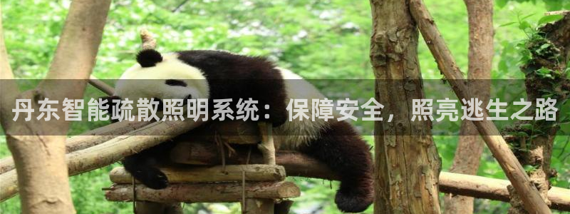 云顶国际会所是干嘛的地方