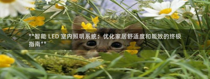 云顶网站官网