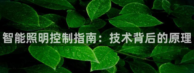 云顶国际电话号码查询