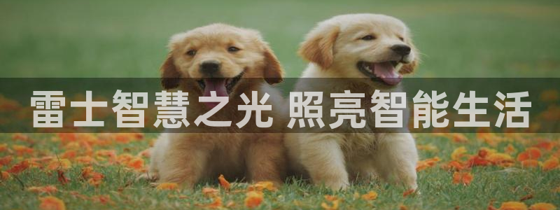 云顶国际A405