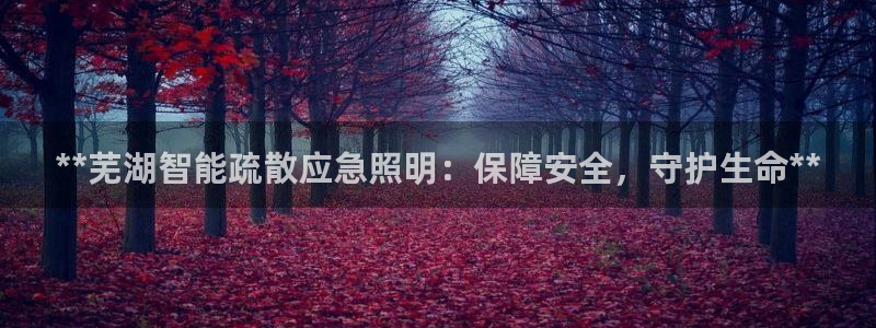 云顶游戏网站