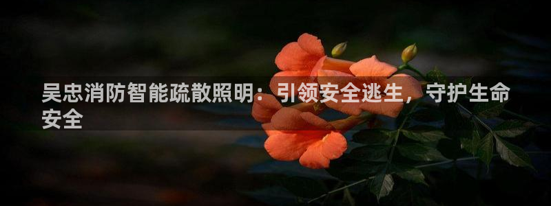 中国云顶集团