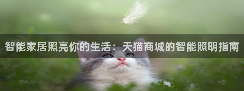 云顶国际停车费多少