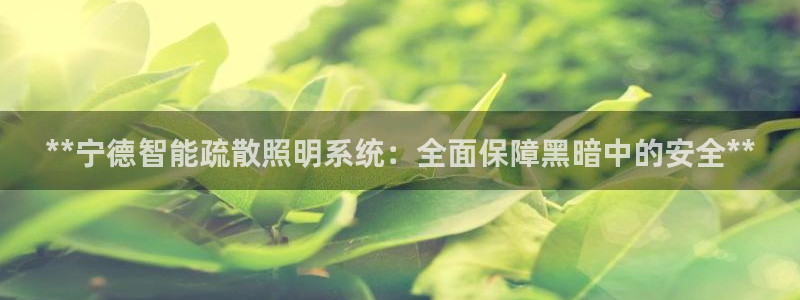 云顶国际服怎么更新