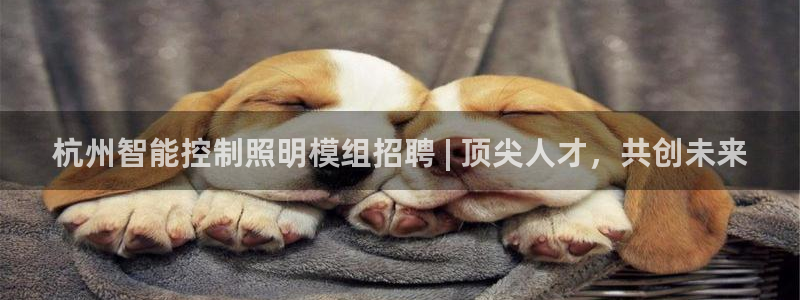 云顶国际app官方网站