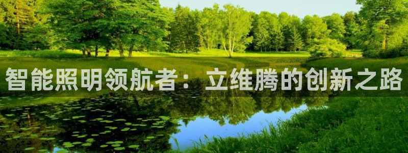云顶yd官网2021：智能照明领航者：立