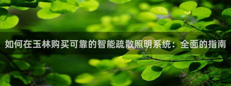 云顶集团网投领跑者