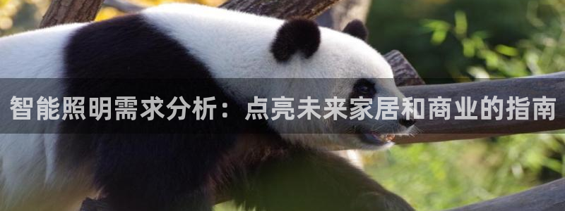云顶国际休闲会所