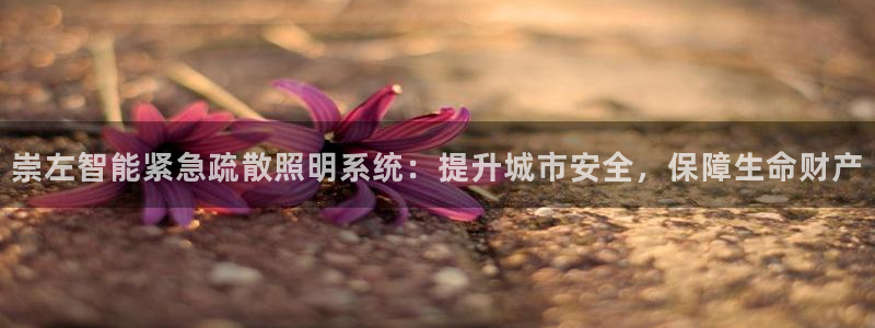 云顶国际是什么软件