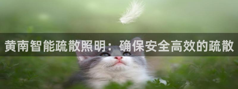 云顶集团有限公司