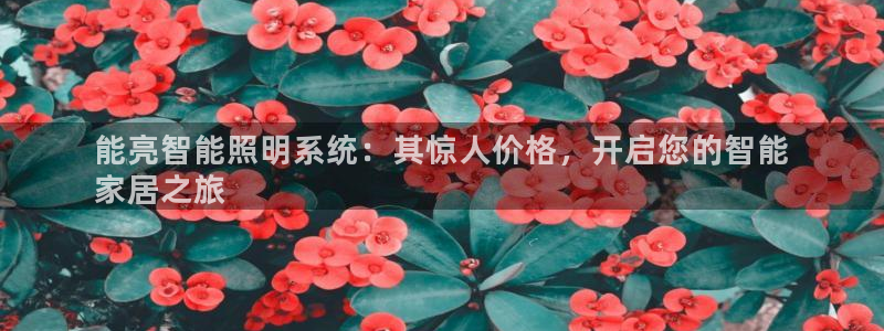 云顶国际服什么时候更新s11