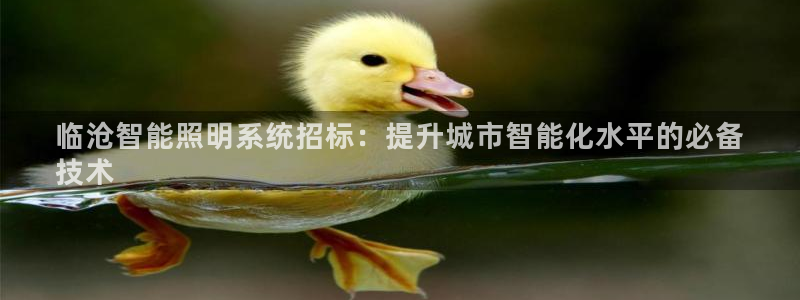 17173云顶