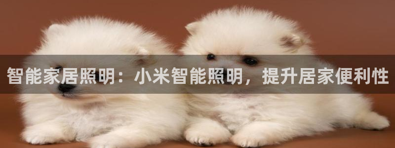 云顶国际晟荣协会