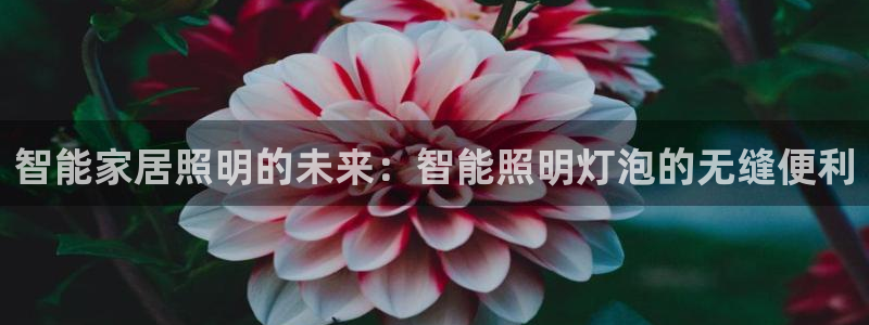 云顶国际公馆在哪个位置