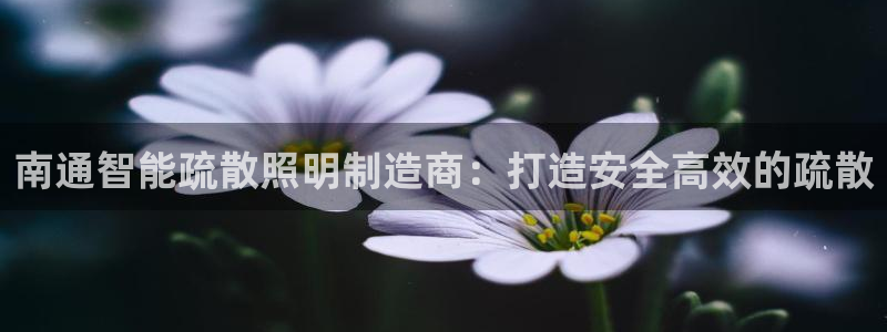 云顶集团是哪个国家的