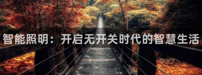 云顶网站官网