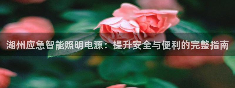 云顶国际集团io