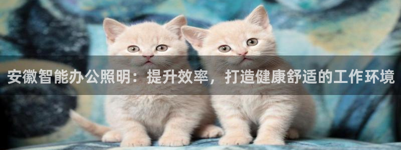 云顶国际二手房
