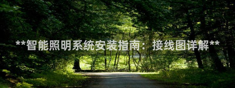 云顶国际app免费下载安装