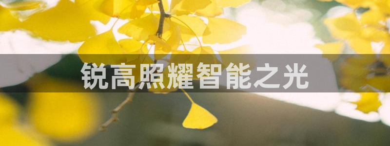 云顶国际服什么时候更新