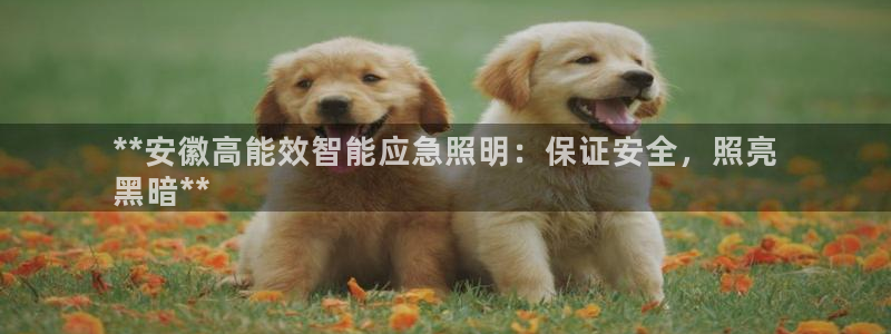 云顶国际网页