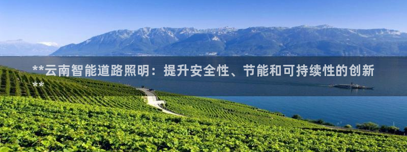云顶国际日本