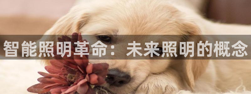 云顶国际属于哪个社区：智能照明革命：未来