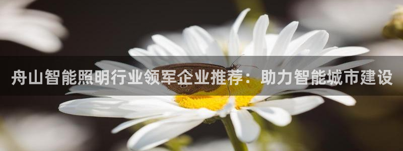 云顶国际app免费下载安卓