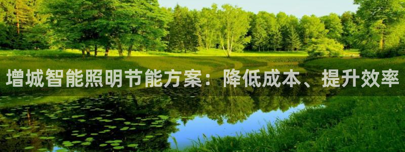 云顶集团中国区总裁