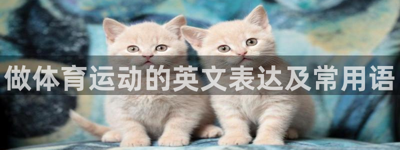 xc体育