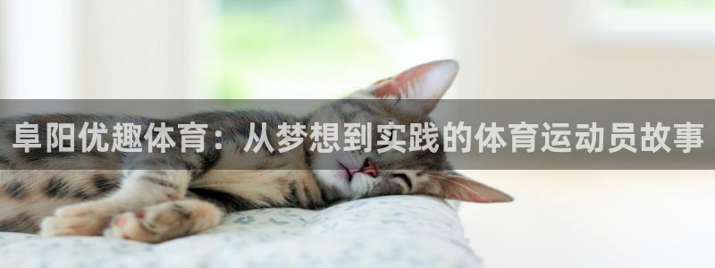 xc体育