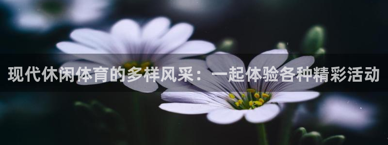 xc体育app官方网站