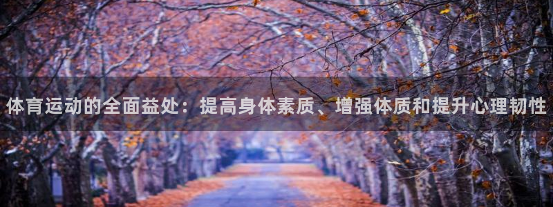xc体育