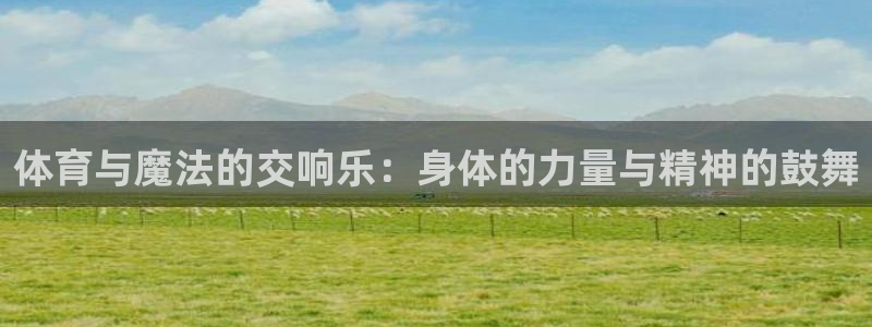 xc体育