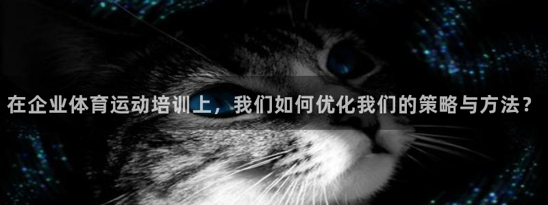 xc体育app官方网站