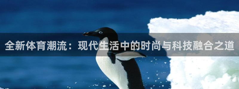 xc体育app官方网站