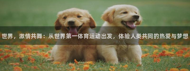 xc体育app官方网站