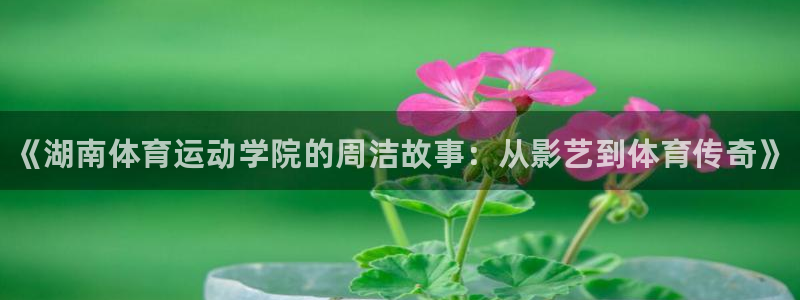 xc体育app官方网站