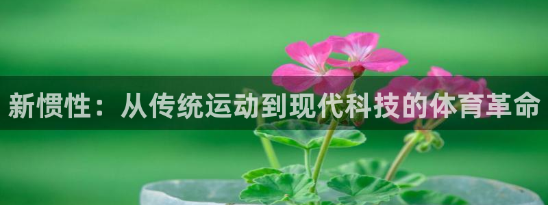 xc体育