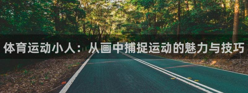 xc体育