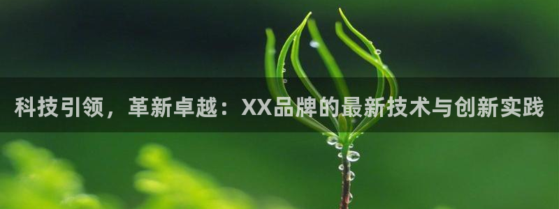 xc体育