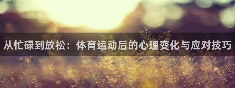 xc体育app官方网站