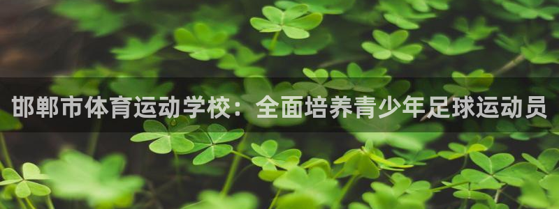 xc体育