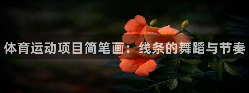 xc体育