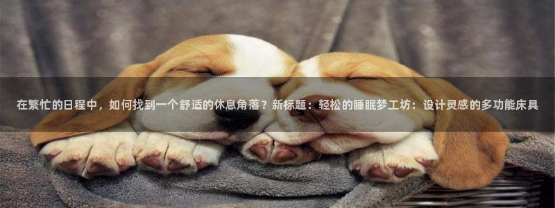 xc体育app官方网站