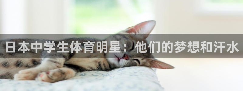 xc体育app官方网站