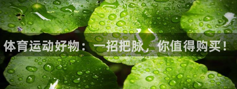 xc体育app官方网站