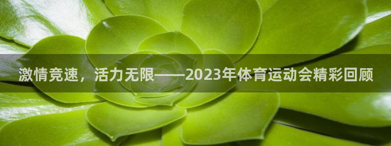 xc体育app官方网站