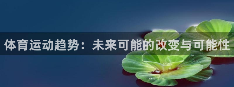 xc体育